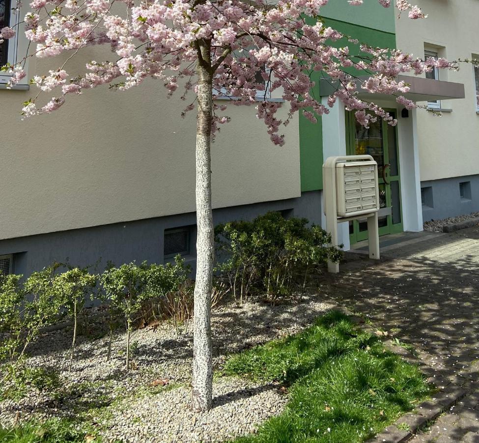 Schoene Kleine Wohnung كوتبوس المظهر الخارجي الصورة
